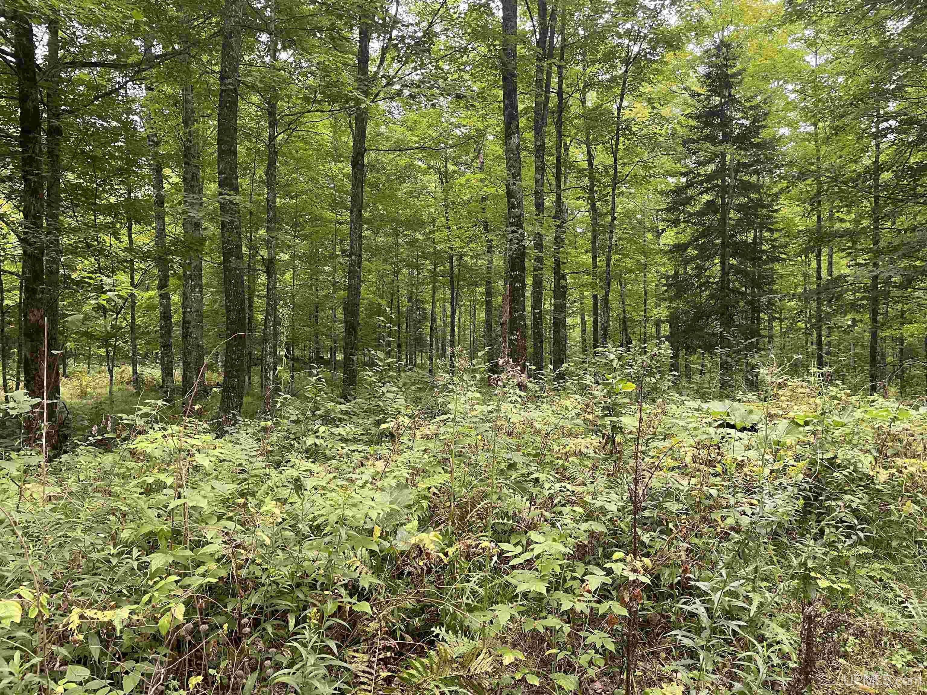 Tbd Tbd County Road, Unit 1 Cornell, MI 49818 - Photo 17 of 41