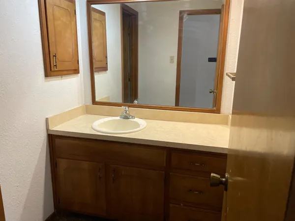 a bathroom with a sink and a mirror