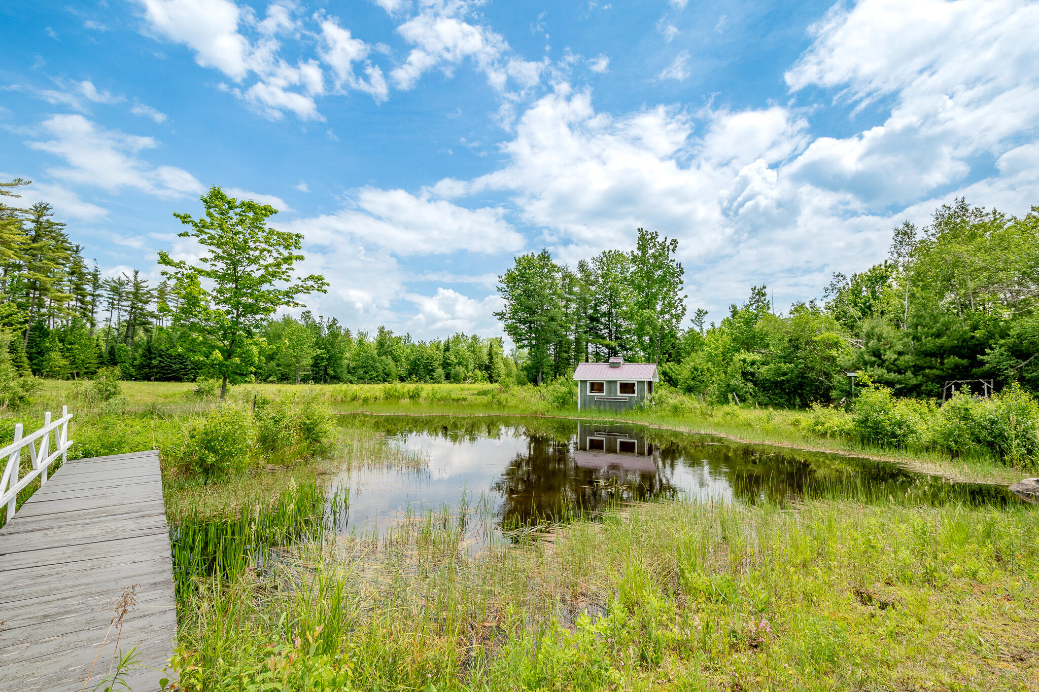 154 Merrills Mills Road Dover-Foxcroft, ME 04426 - Photo 95 of 145 DSC_0265