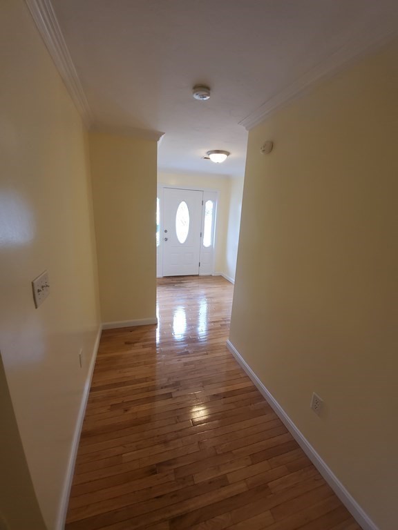 46 B Reed Street Worcester, MA 01602 - Photo 4 of 42 Gallery Image 4