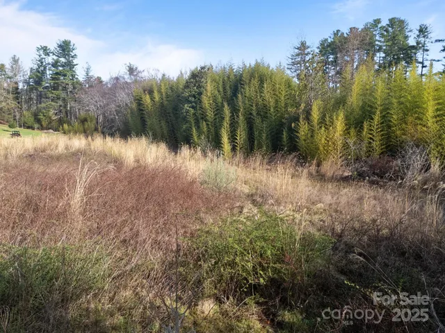 $115,000 | 193 Montevilla Drive, Hendersonville, NC 28739