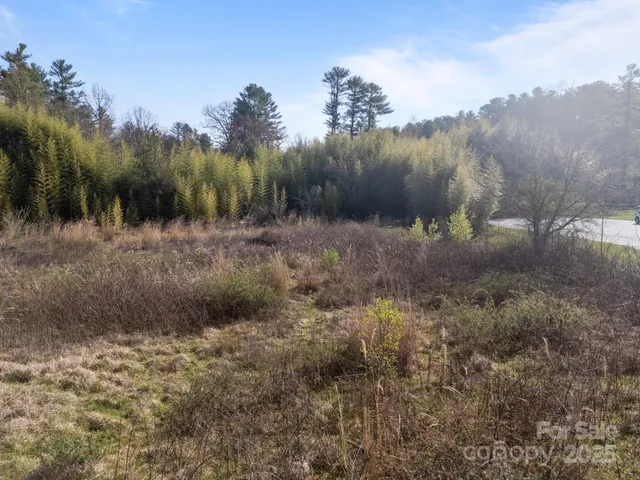 $115,000 | 193 Montevilla Drive, Hendersonville, NC 28739