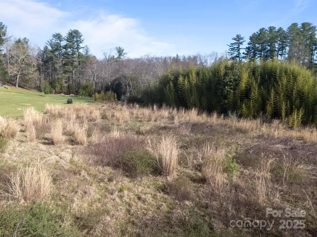 $115,000 | 193 Montevilla Drive, Hendersonville, NC 28739