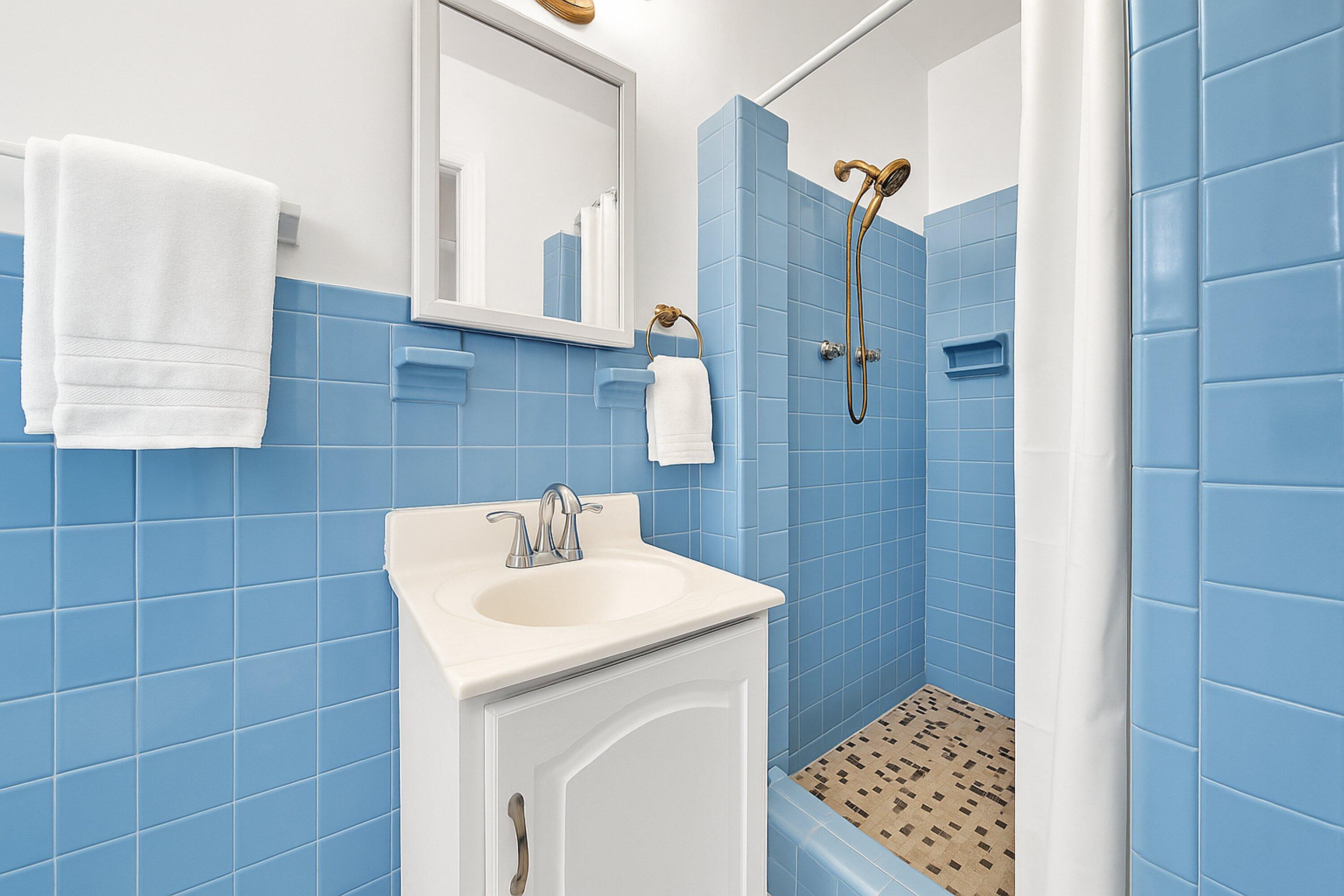 3285 Rasmont Road Roanoke, VA 24018 - Photo 17 of 40 Primary Bathroom