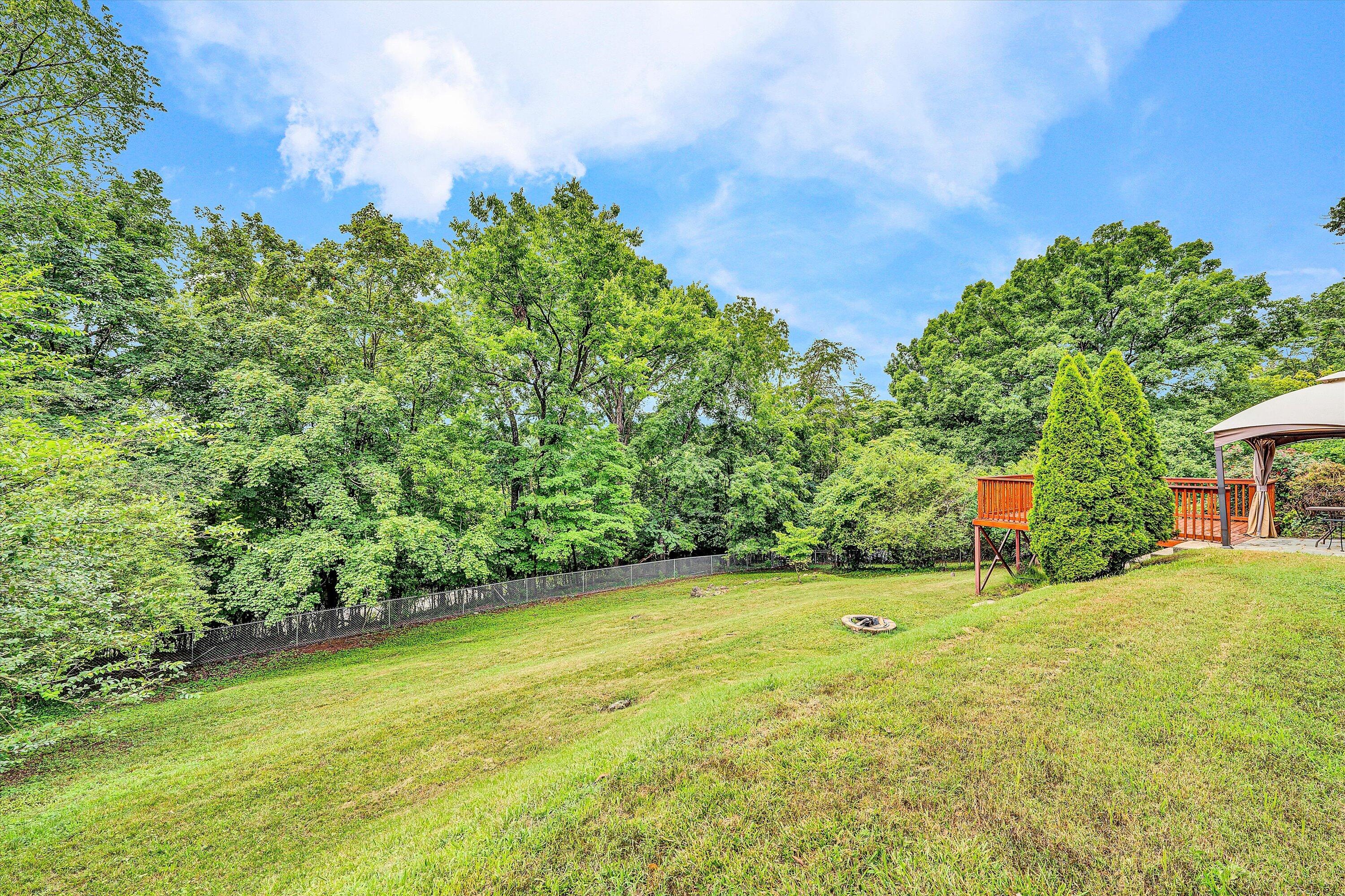 3285 Rasmont Road Roanoke, VA 24018 - Photo 38 of 40 Expansive Fenced Yard