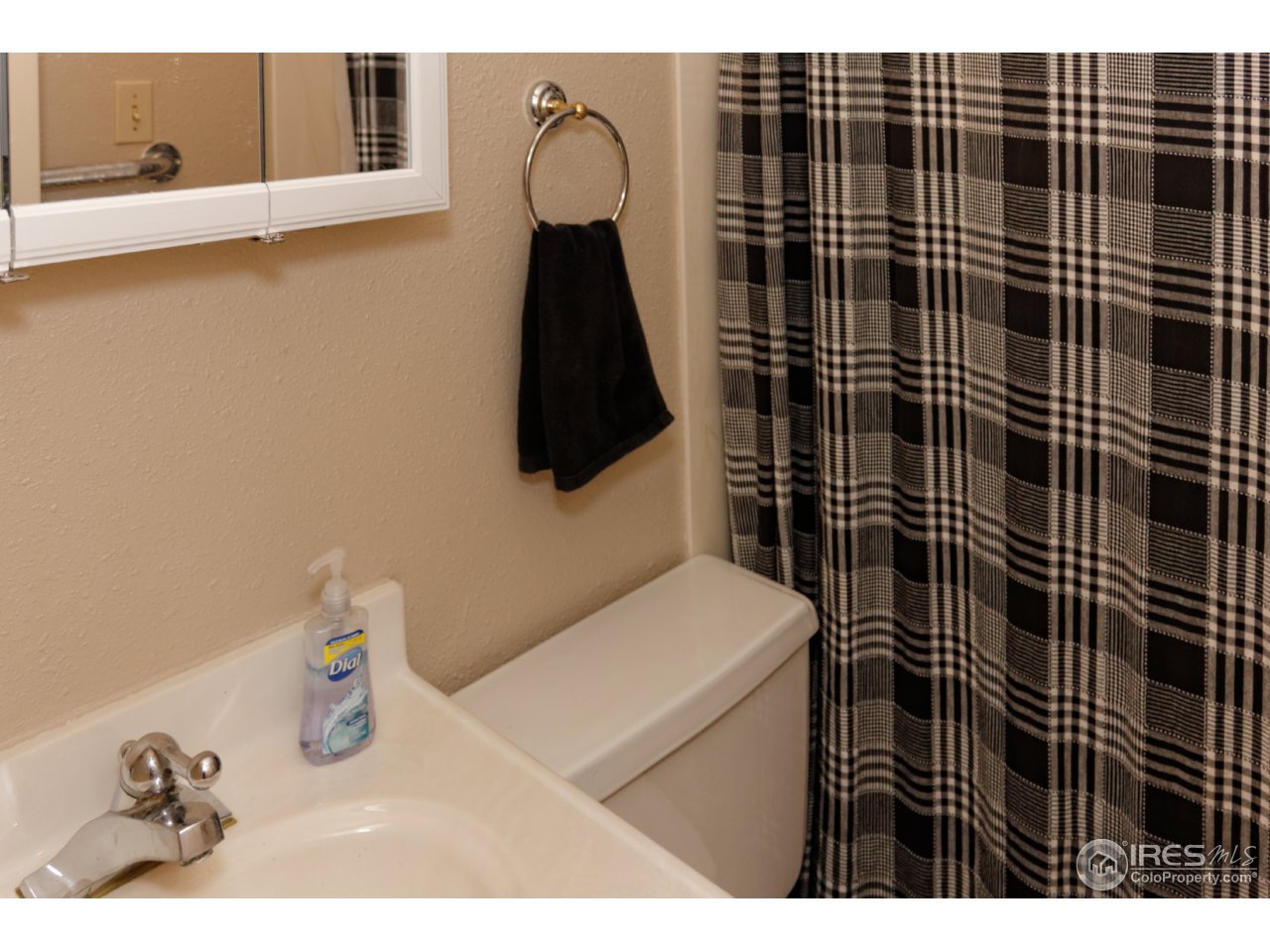 213 Bothun Road Berthoud, CO 80513 - Photo 11 of 40 Gallery Image 11