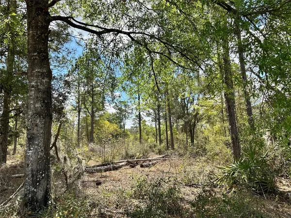 $21,000 | Undisclosed Address, Bronson, FL 32621