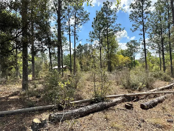 $21,000 | Undisclosed Address, Bronson, FL 32621