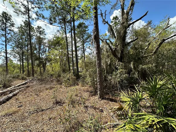 $21,000 | Undisclosed Address, Bronson, FL 32621