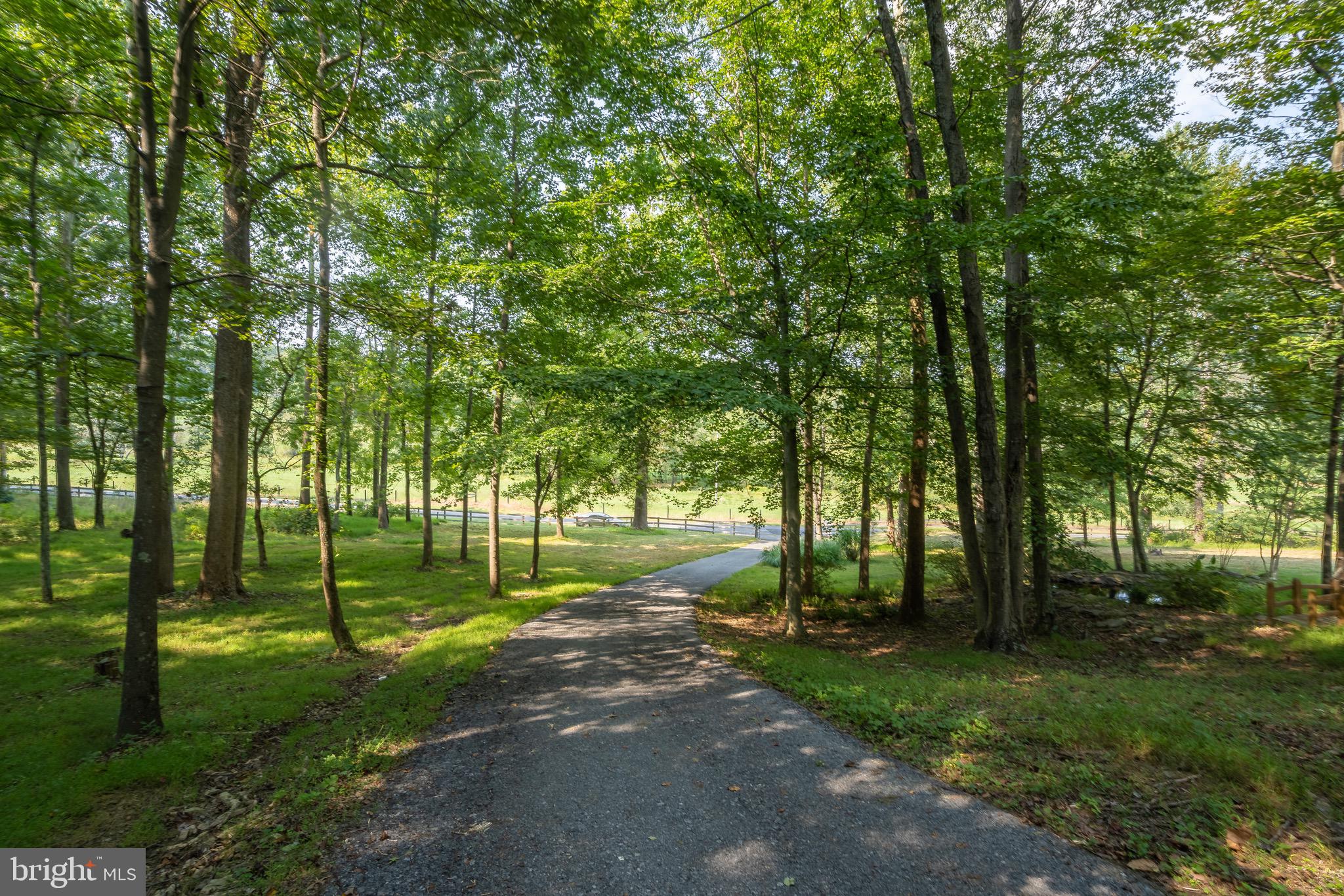 4675 Fiery Run Road Linden, VA 22642 - Photo 78 of 79 Gallery Image 78