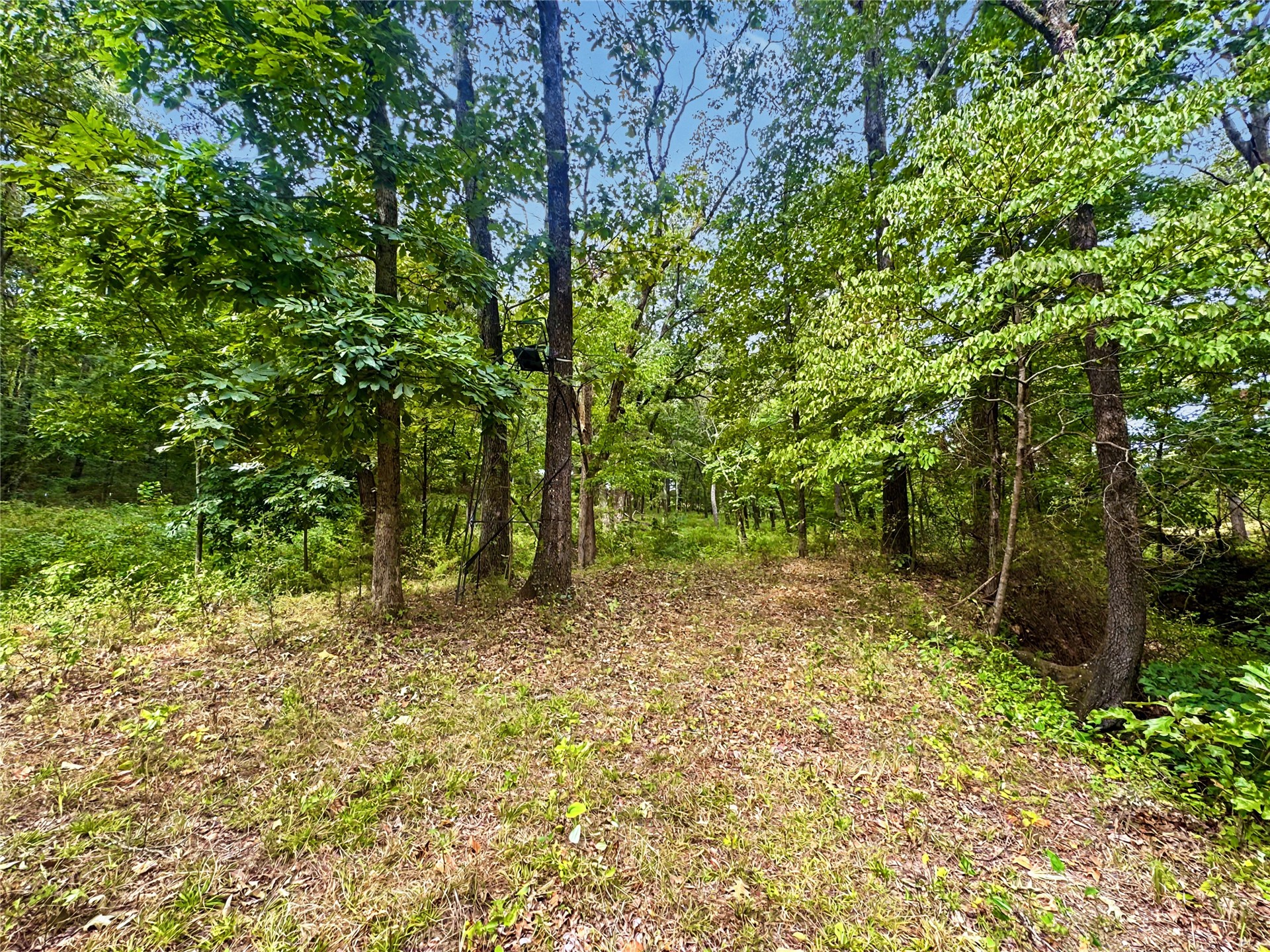 474482 East 850 Road Stilwell, OK 74960 - Photo 8 of 12 Gallery Image 8