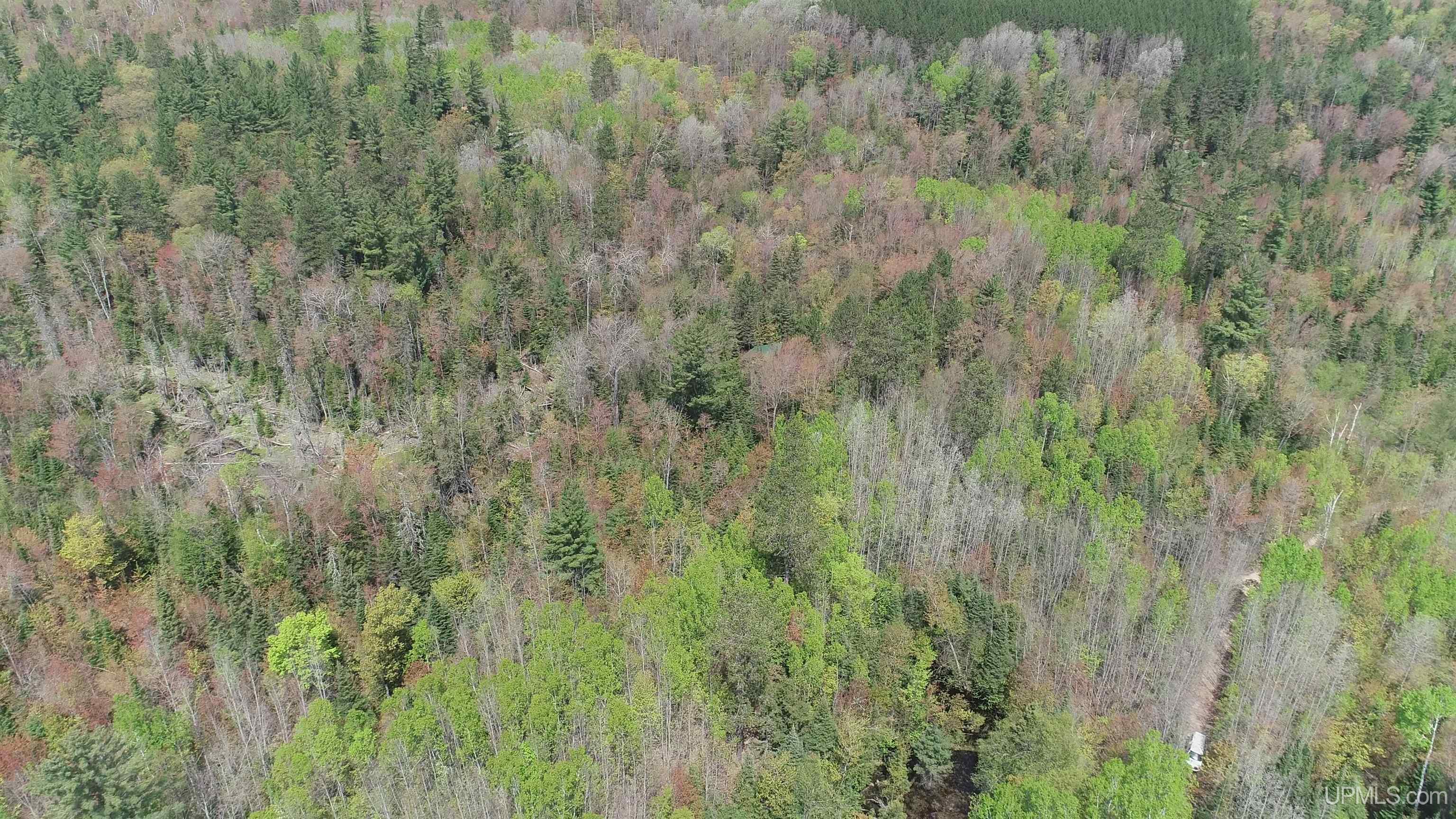 38-acres County Rd NA Road Marquette, MI 49855 - Photo 67 of 70