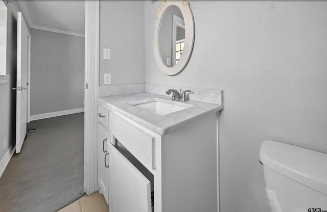 a bathroom with a sink and a toilet