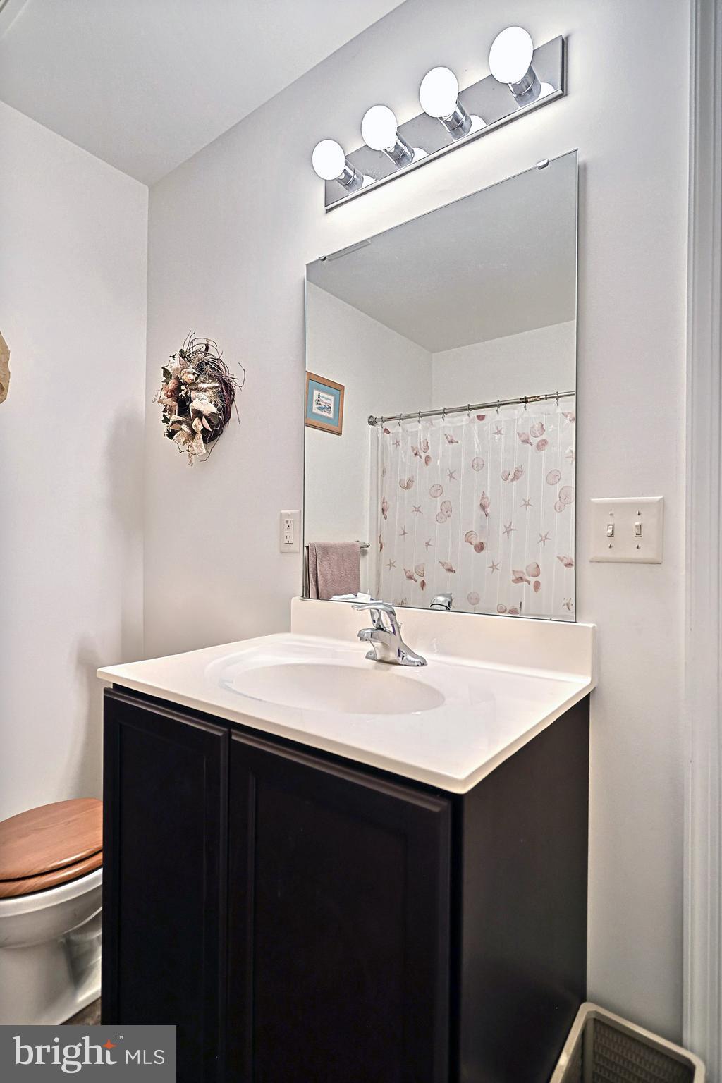 524 Marion Road, Unit 524 York, PA 17406 - Photo 18 of 31 Hall Bathroom