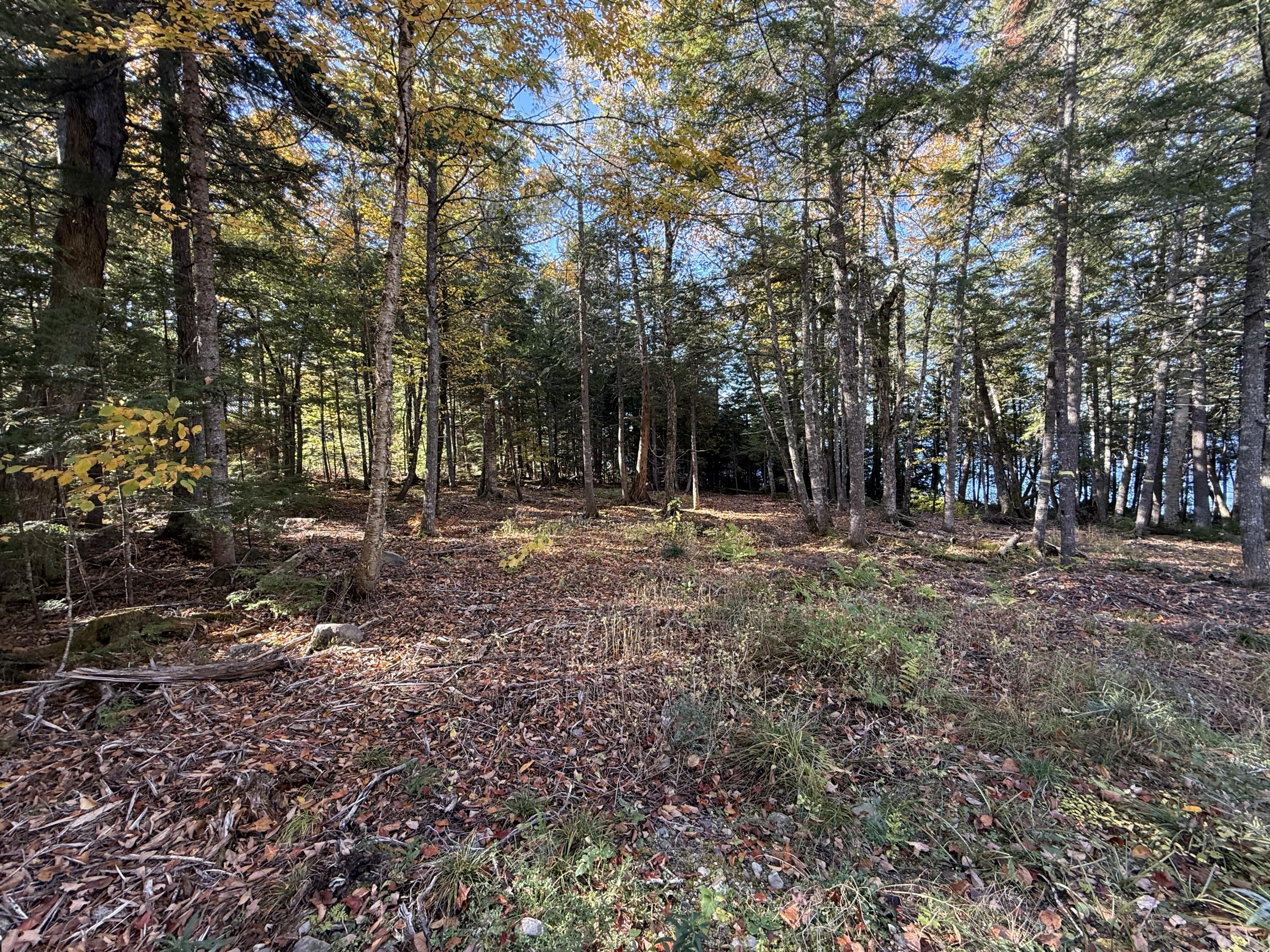 2 East Shore Road Wytopitlock, ME 04497 - Photo 6 of 16