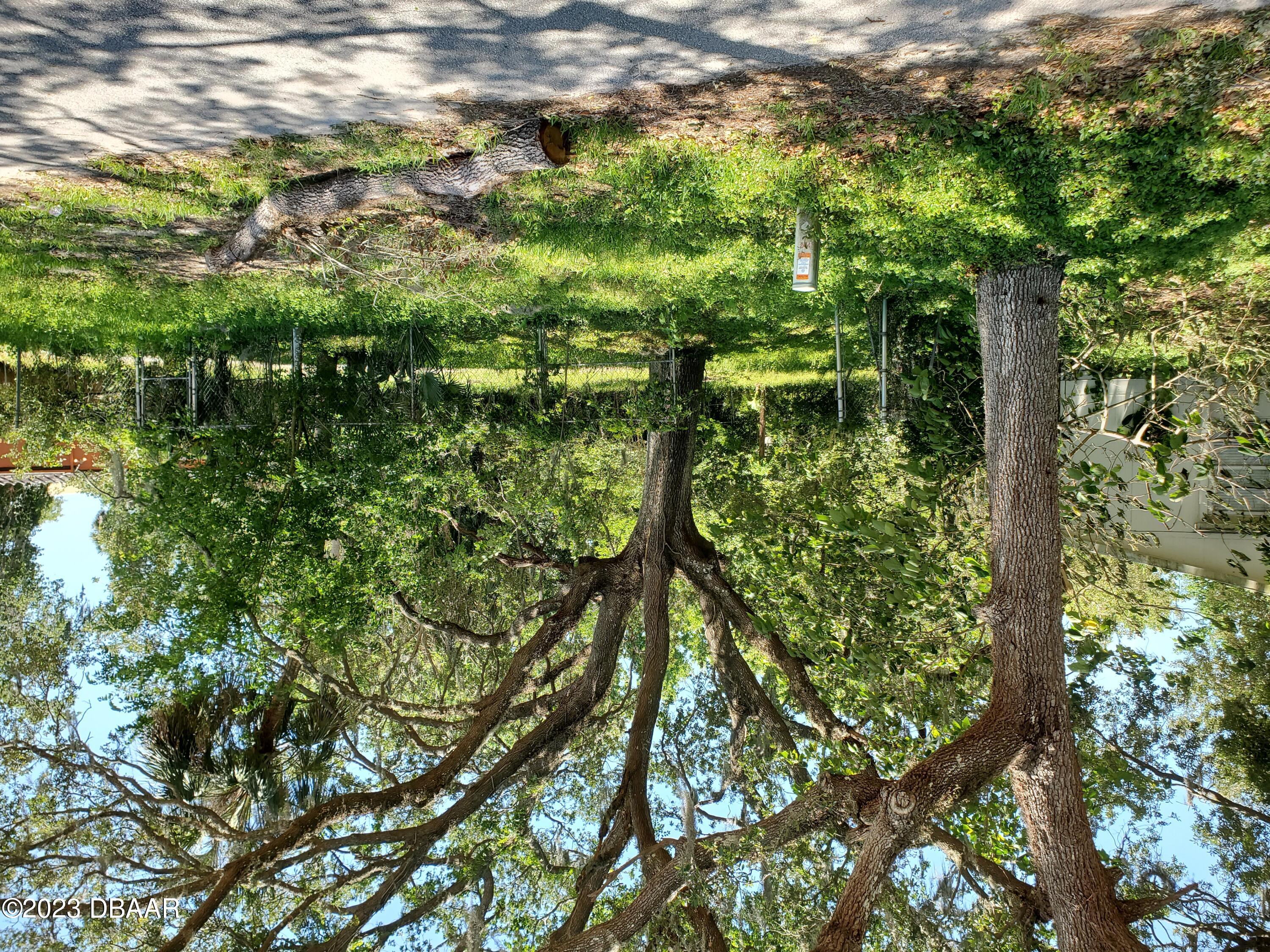 775 Parque Drive Holly Hill, FL 32174 - Photo 4 of 5 Front