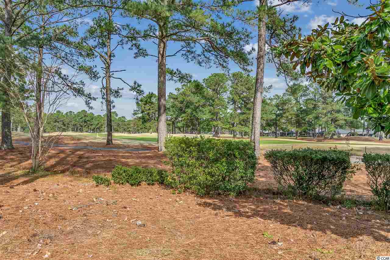 8255 Timber Ridge Road Conway, SC 29526 - Photo 32 of 32 Gallery Image 32