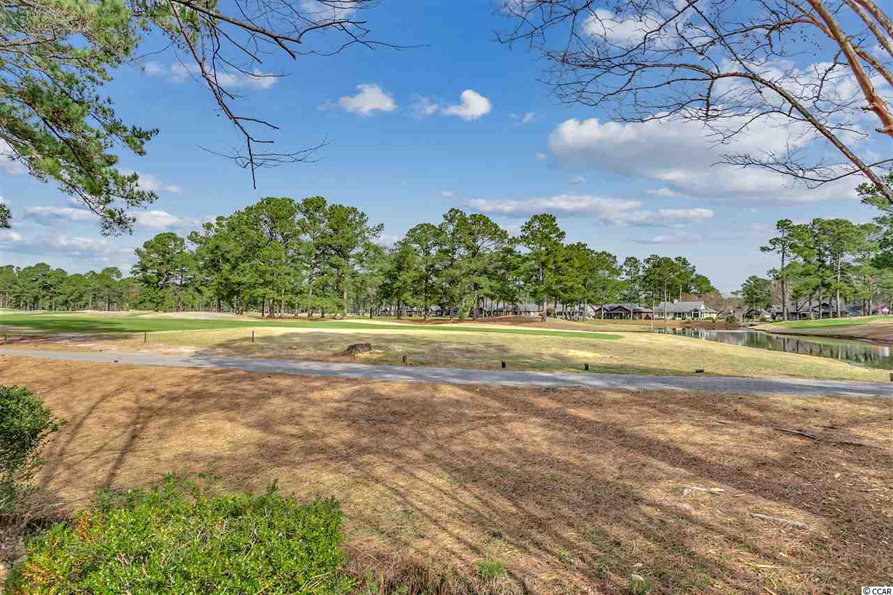 8255 Timber Ridge Road Conway, SC 29526 - Photo 10 of 32 Gallery Image 10