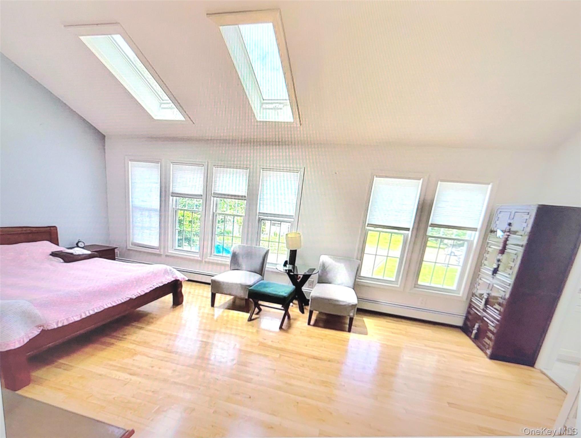 249 Cold Spring Road Syosset, NY 11791 - Photo 16 of 35 Gallery Image 16