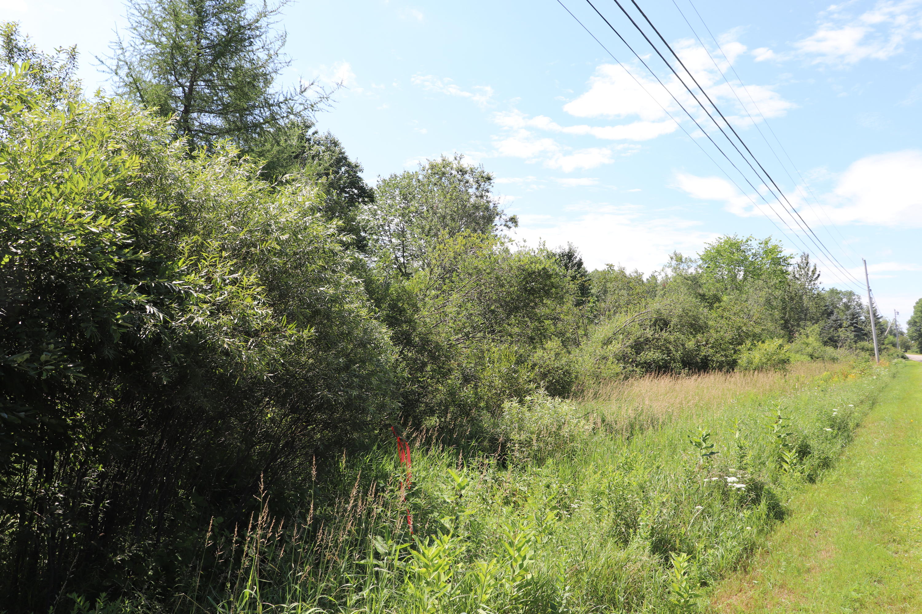 0 Hudson Road Corinth, ME 04427 - Photo 5 of 8 IMG_1586