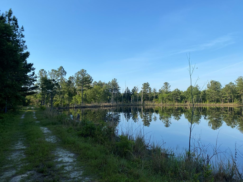 Tbd Indian Trail Road Sylvania, GA 30467 - Photo 11 of 12