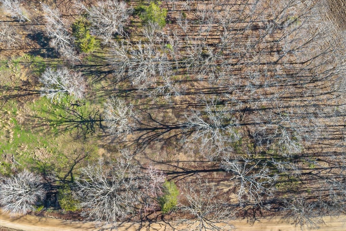 1837 Humphreys Co Line Road Dickson, TN 37055 - Photo 16 of 20