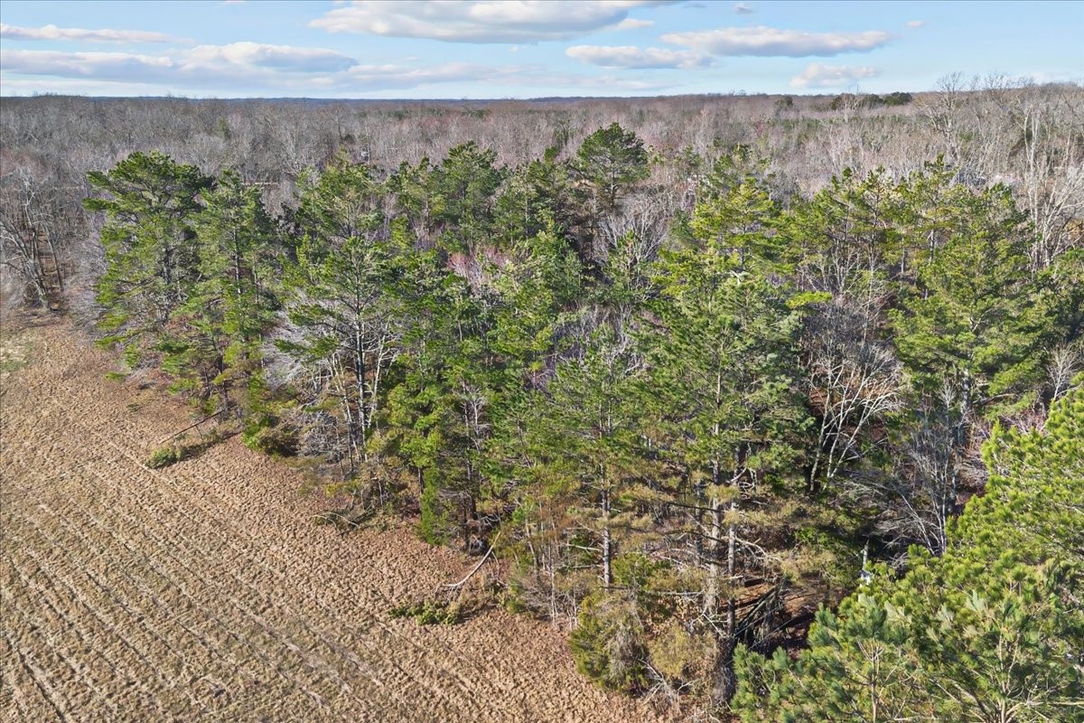 1837 Humphreys Co Line Road Dickson, TN 37055 - Photo 17 of 20