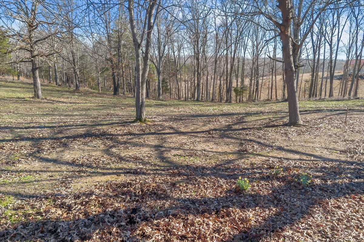 1837 Humphreys Co Line Road Dickson, TN 37055 - Photo 4 of 20