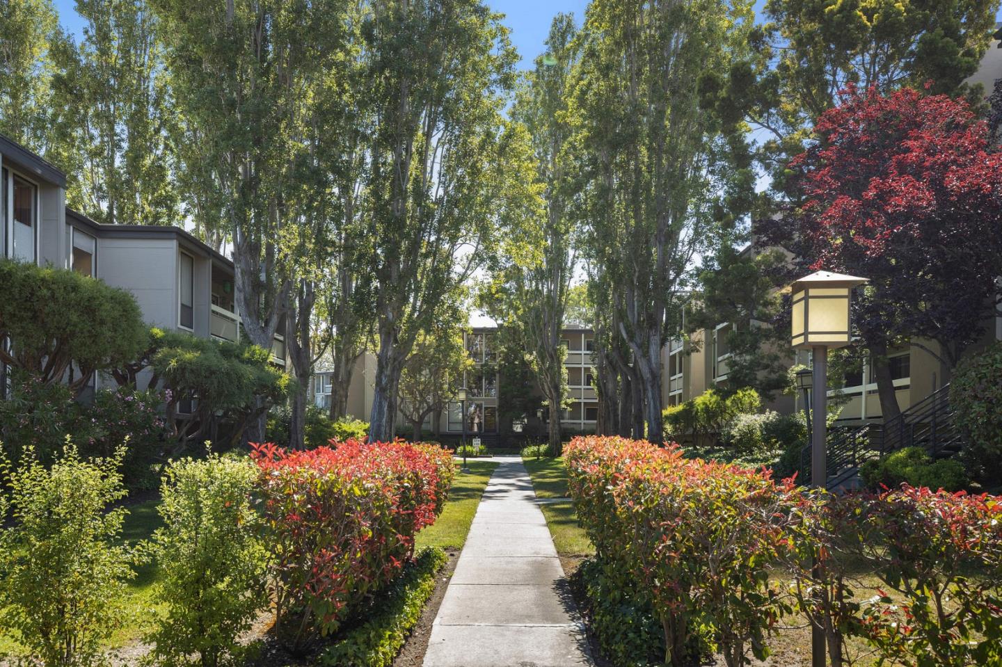 1171 Compass Lane, Unit 216 Foster City, CA 94404 - Photo 1 of 35 a view of a pathway that has tree in front of it