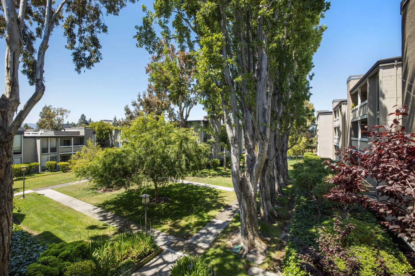 1171 Compass Lane, Unit 216 Foster City, CA 94404 - Photo 31 of 35 a view of backyard with green space