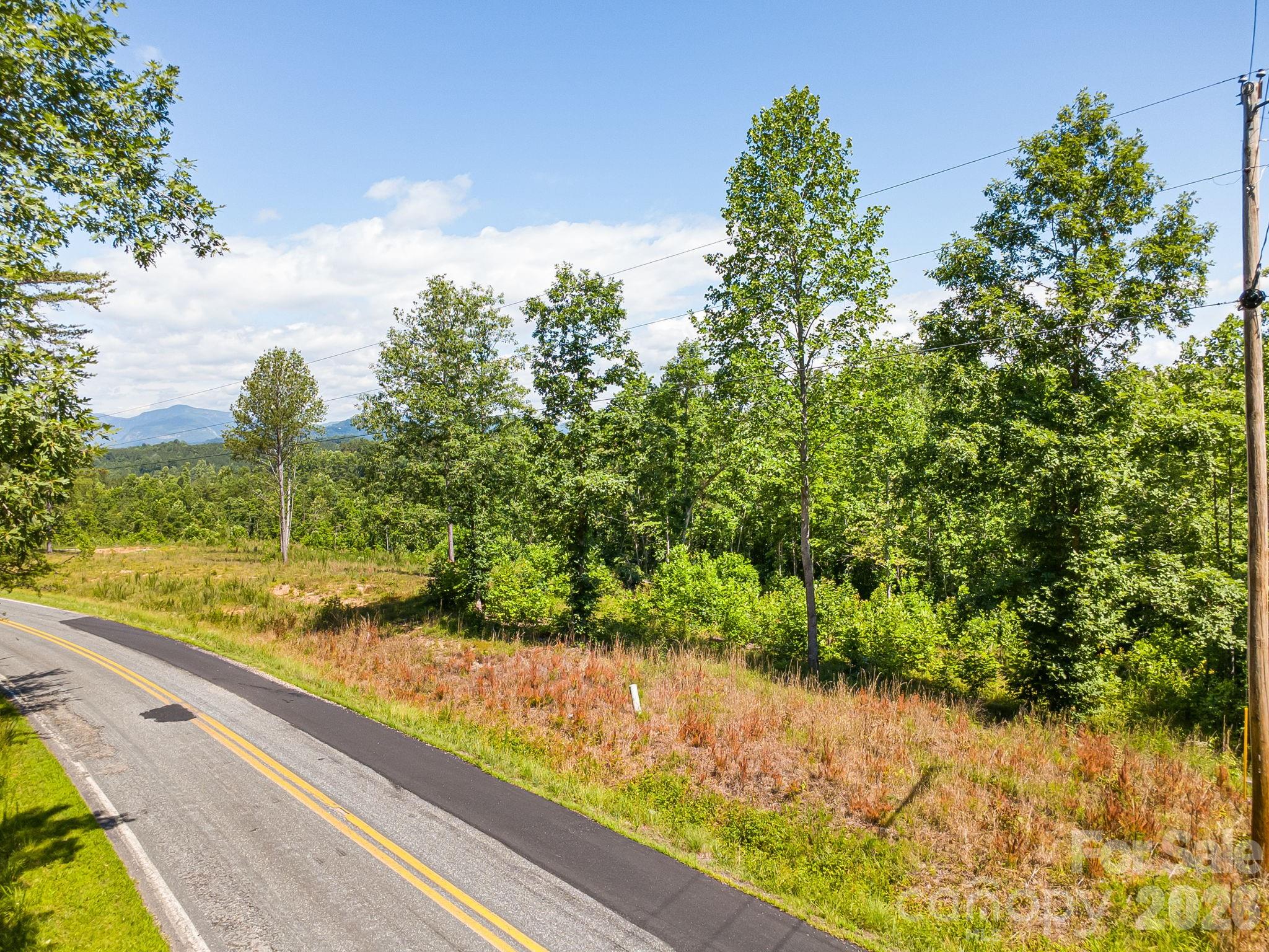 Lot #2 Clark Road Rutherfordton, NC 28139 - Photo 17 of 36