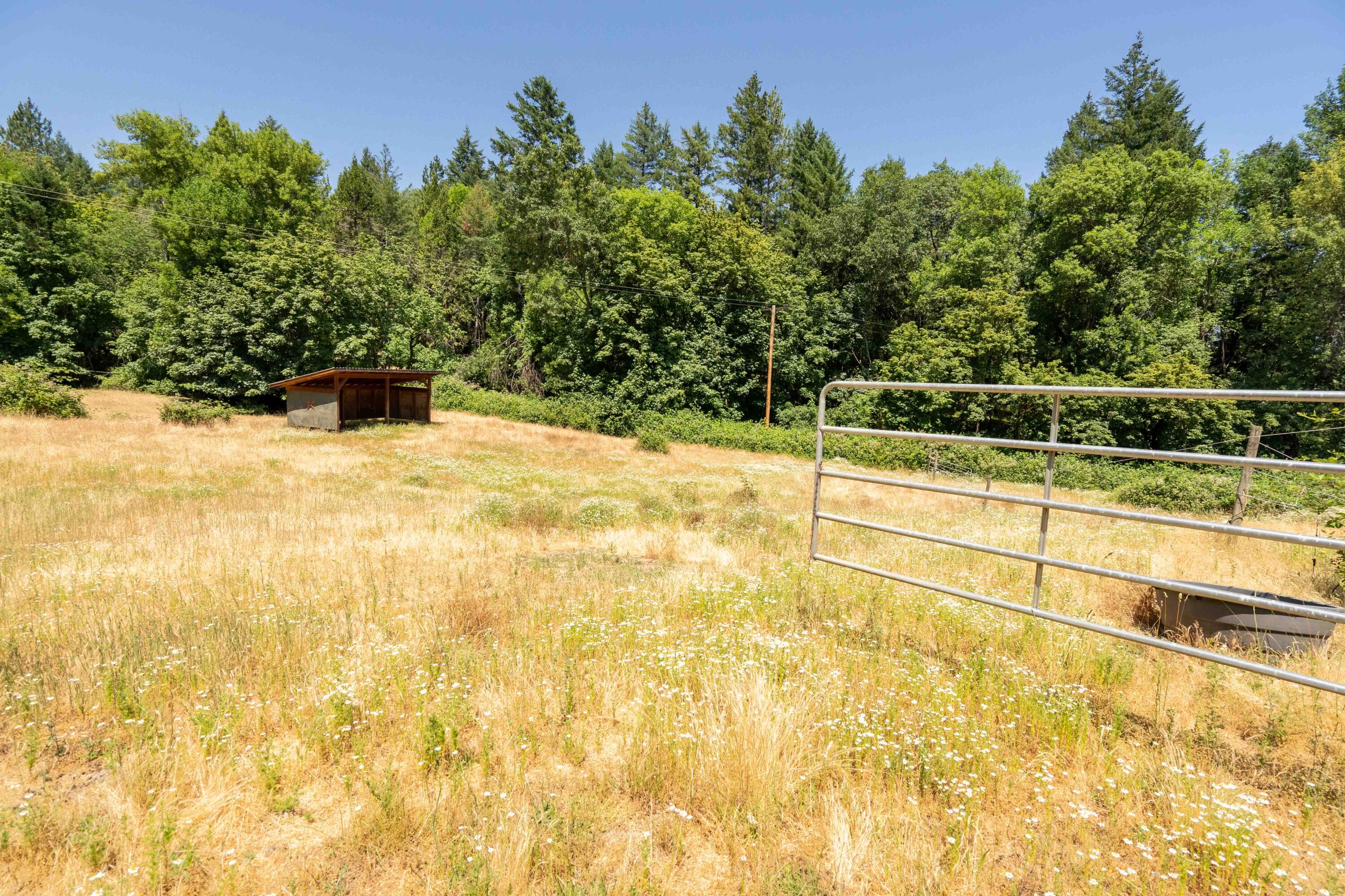 244 Griffin Road Grants Pass, OR 97527 - Photo 76 of 96 DSC07478-HDR