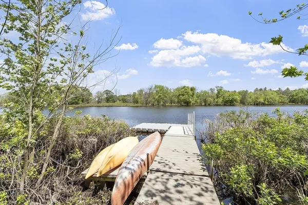 a body of water with a tree in the background