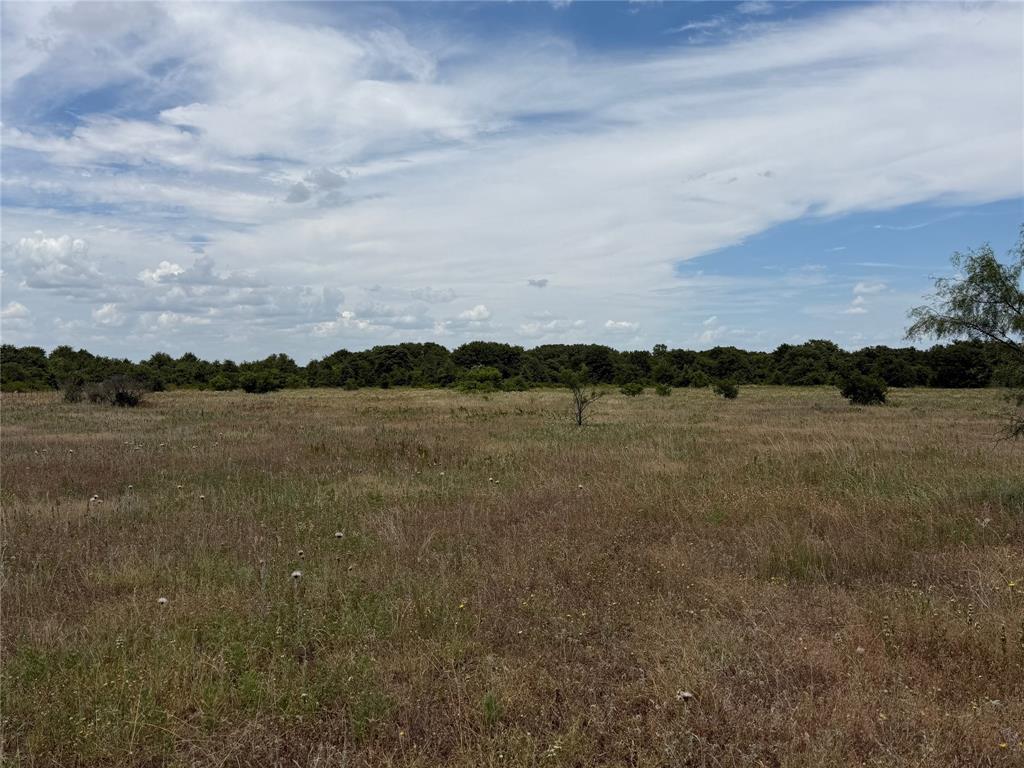 1450 County Road 240 Rising Star, TX 76471 - Photo 9 of 17 a view of lake with yard in back