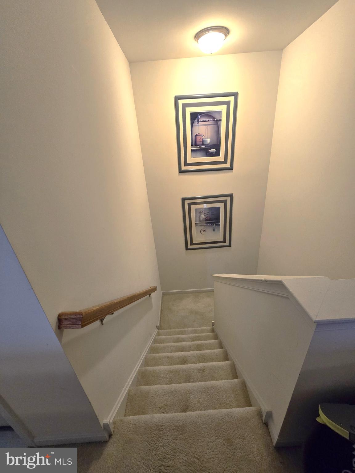 149 Gazebo Lane Middletown, DE 19709 - Photo 31 of 37