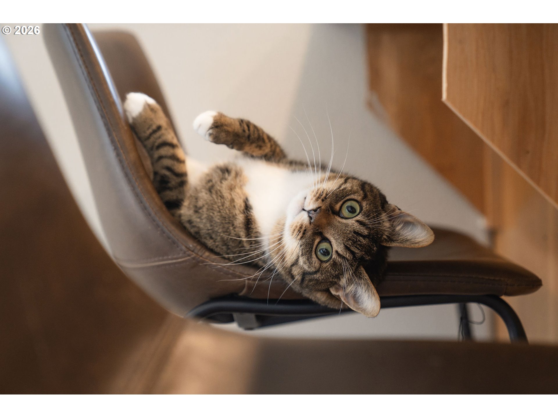 8330 Southwest Norfolk Lane Portland, OR 97224 - Photo 33 of 37 a view of entryway