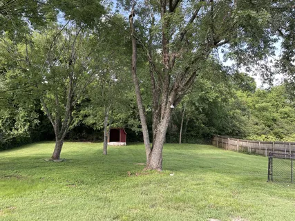 a view of a tree in a park
