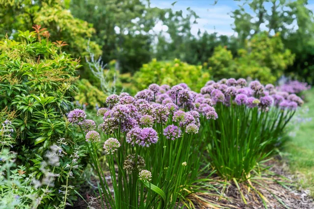 a view of a tennis court