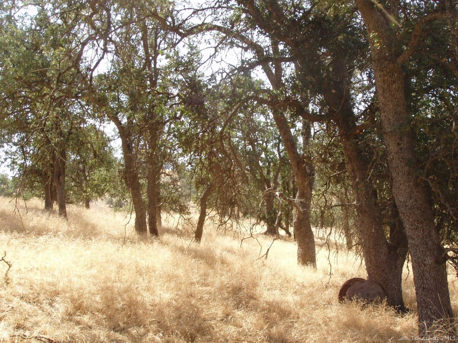 0 Jacks Hill Road Tehachapi, CA 93561 - Photo 11 of 14 Gallery Image 11