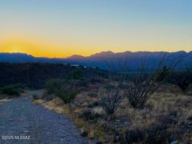 esponja sunset 12-2-25
