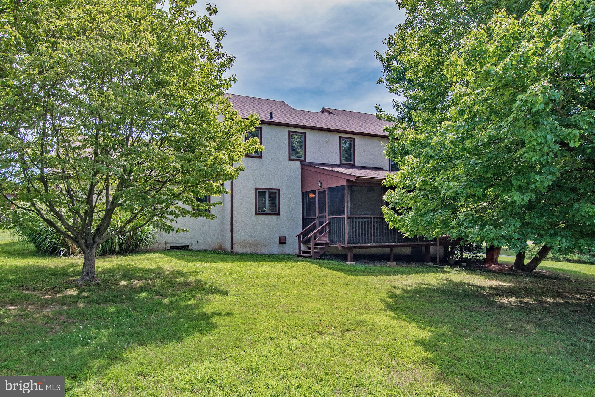 Back yard