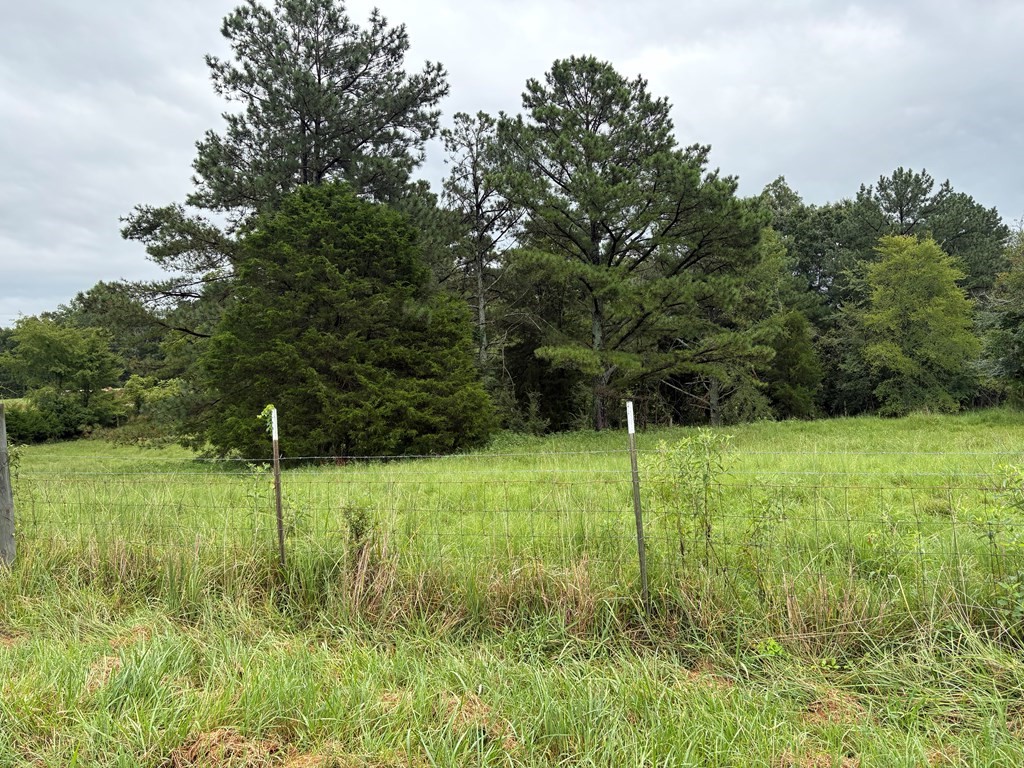 375 Ables Road Cottage Grove, TN 38224 - Photo 6 of 8 Gallery Image 6