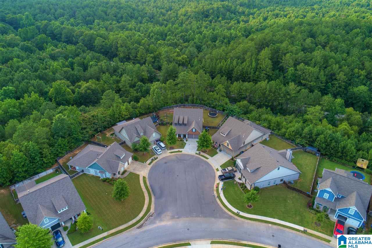 281 Appleford Road Helena, AL 35080 - Photo 33 of 39