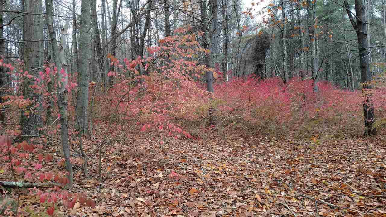 1 Franklin Road Salisbury, NH 03268 - Photo 2 of 28