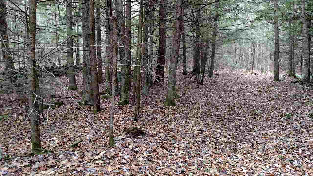 1 Franklin Road Salisbury, NH 03268 - Photo 11 of 28