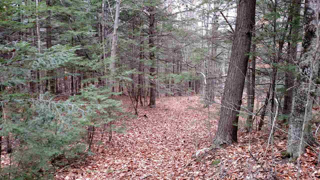 1 Franklin Road Salisbury, NH 03268 - Photo 12 of 28