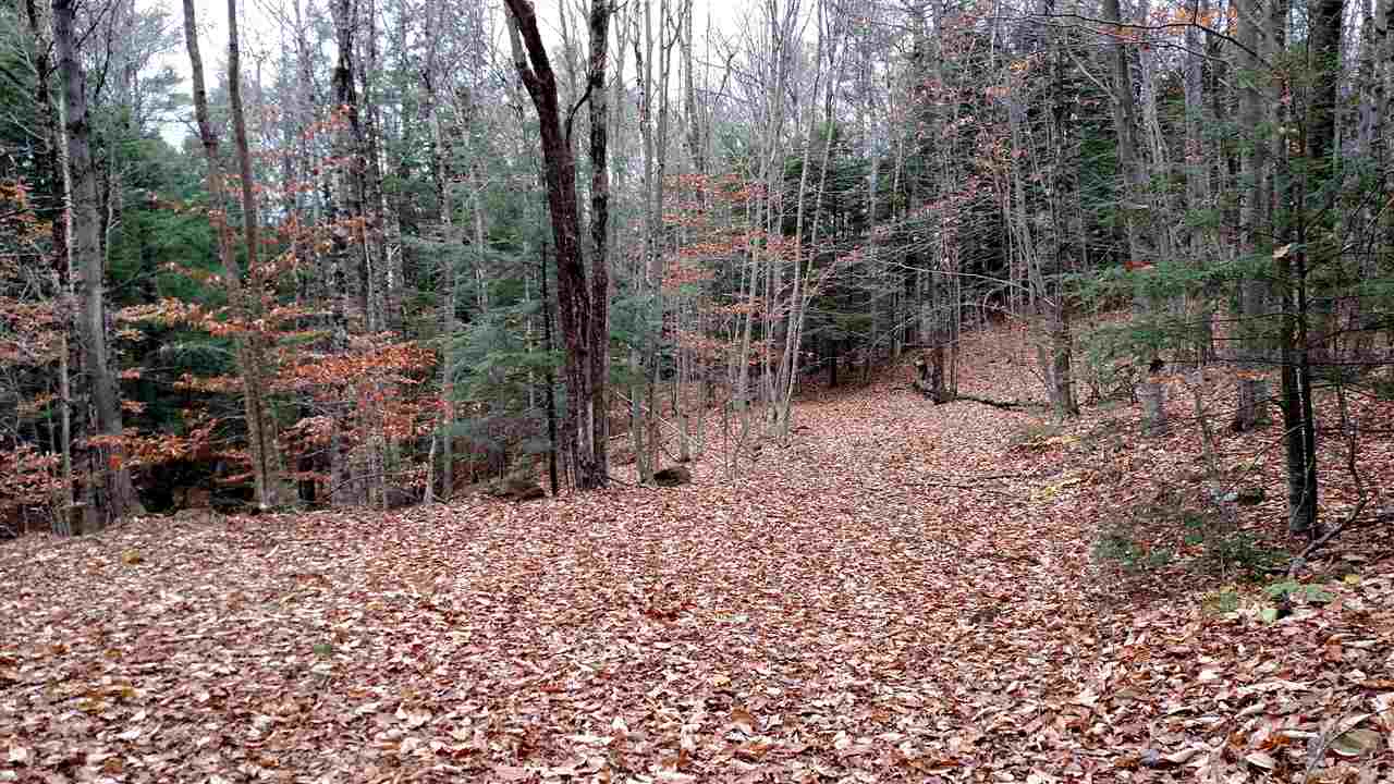 1 Franklin Road Salisbury, NH 03268 - Photo 13 of 28