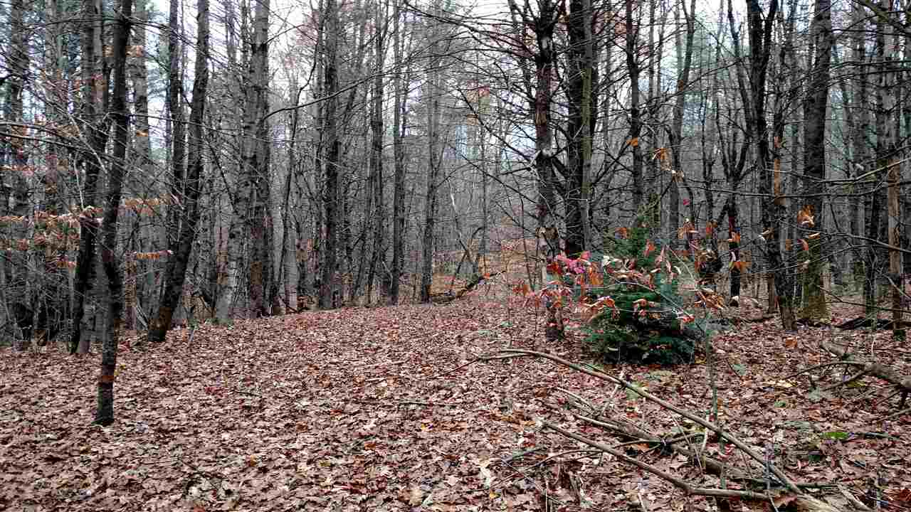 1 Franklin Road Salisbury, NH 03268 - Photo 14 of 28