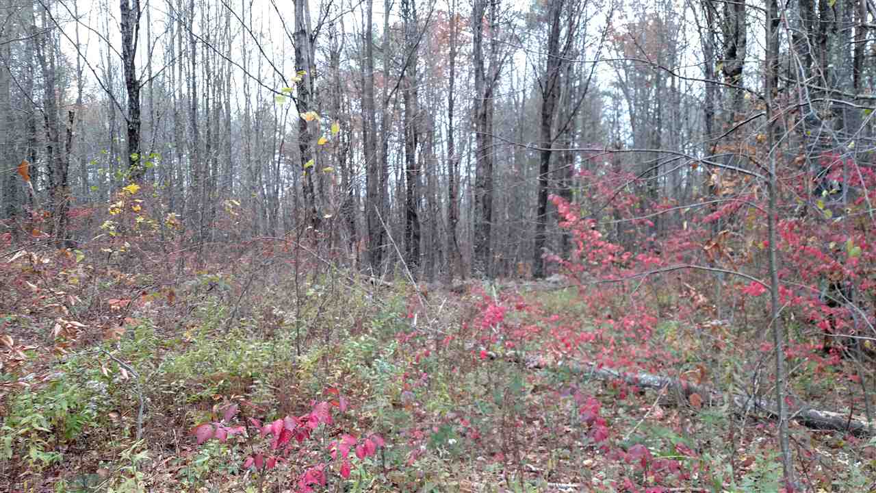 1 Franklin Road Salisbury, NH 03268 - Photo 20 of 28