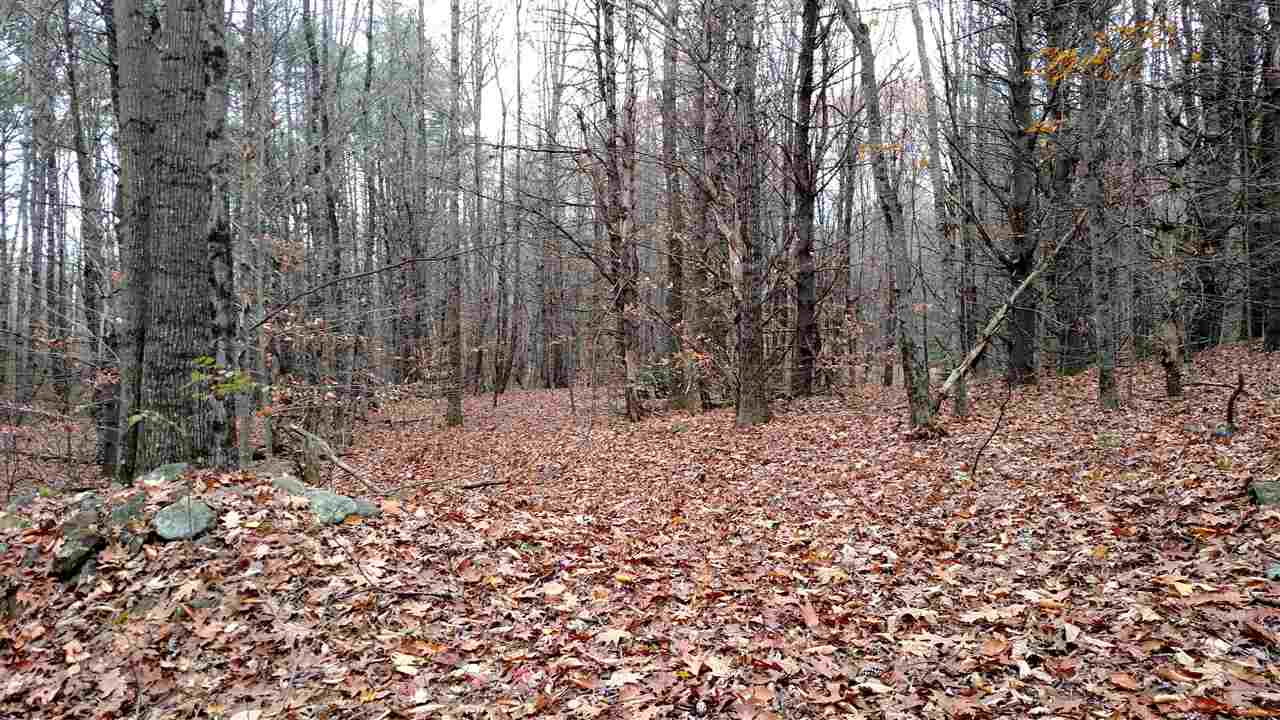 1 Franklin Road Salisbury, NH 03268 - Photo 4 of 28